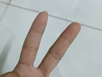 Halao29