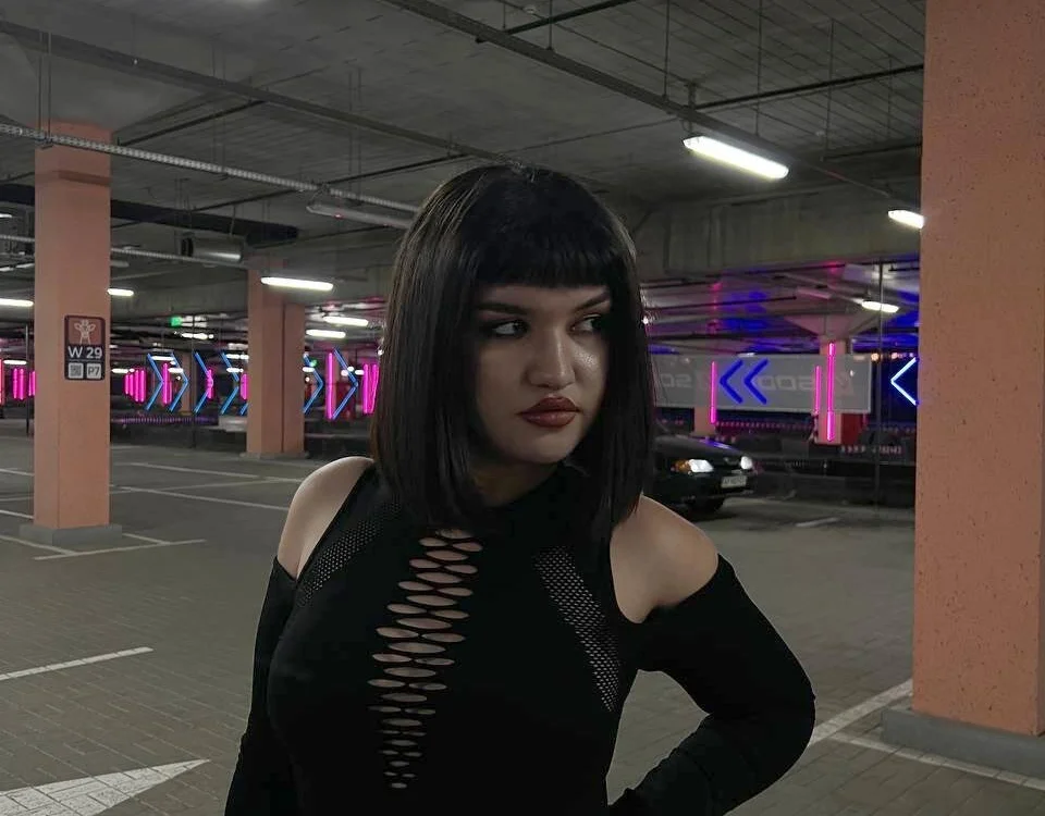 AliceSwan9955's Offline Chat Room