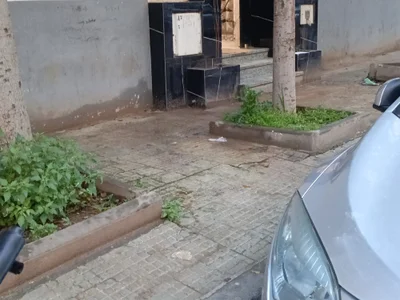 BeakedMezuza profile