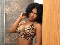 Модель HannyThompson