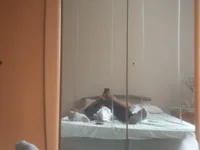 Pitbul889's webcam live show