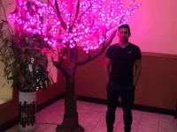 stefamholmes's webcam live show