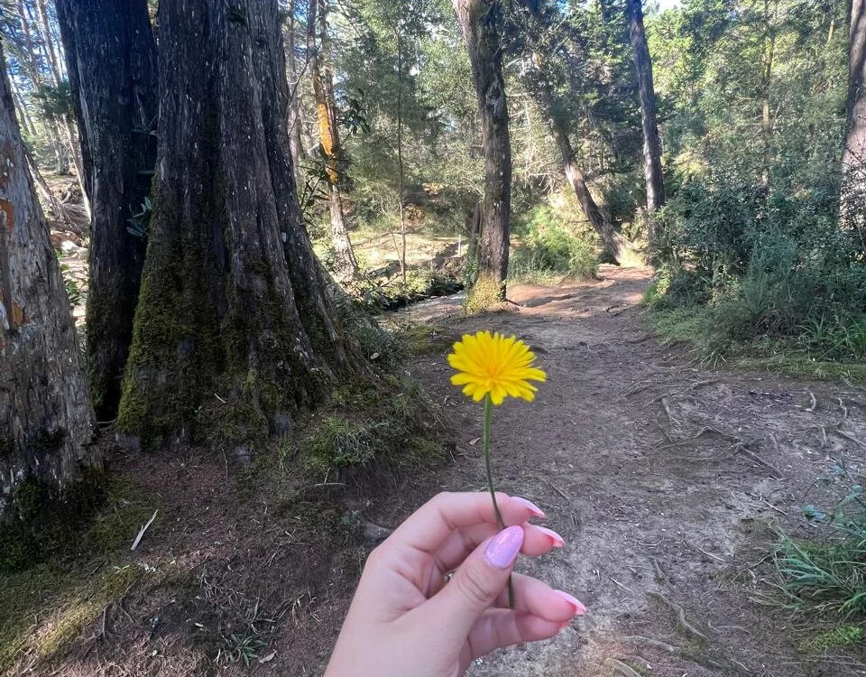 Kalindidriping's Offline XXX Chat