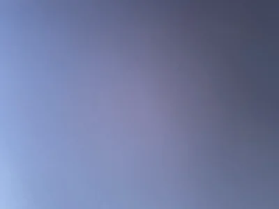 Profile of pegasus699
