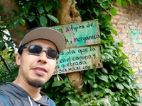 Hankingo