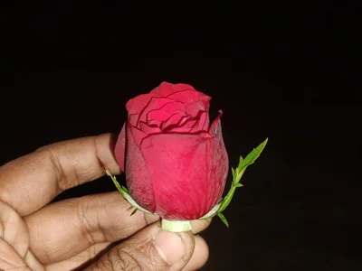 Romantic_boy00 profile