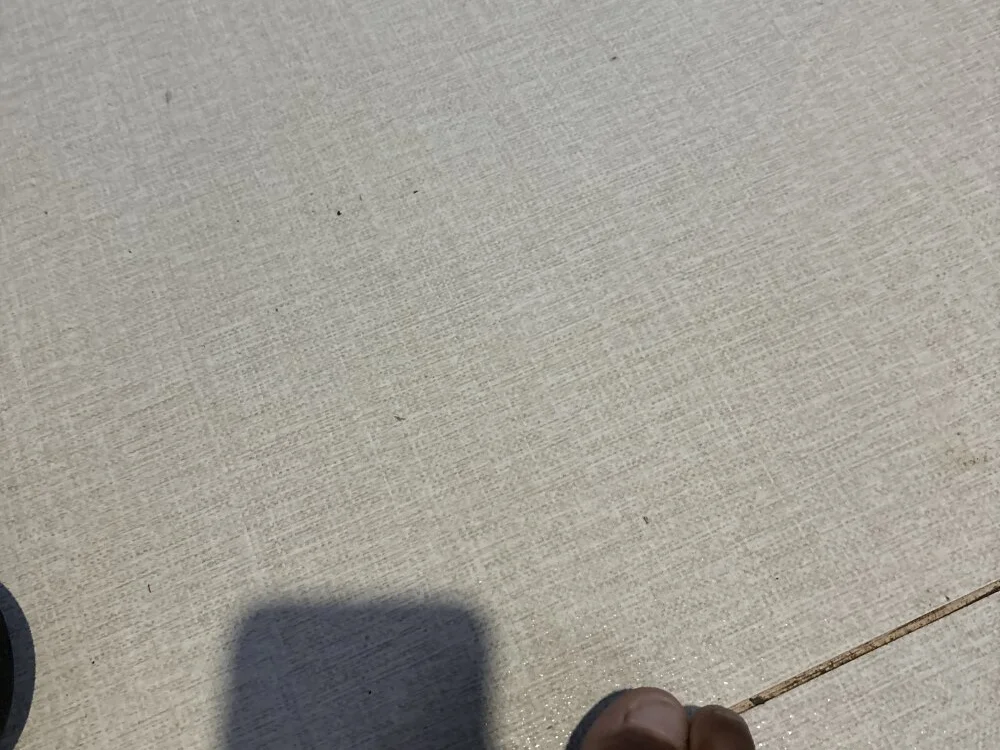 anonimonovinxx23 Offline XXX Chat