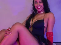 Модель Taira_Bms