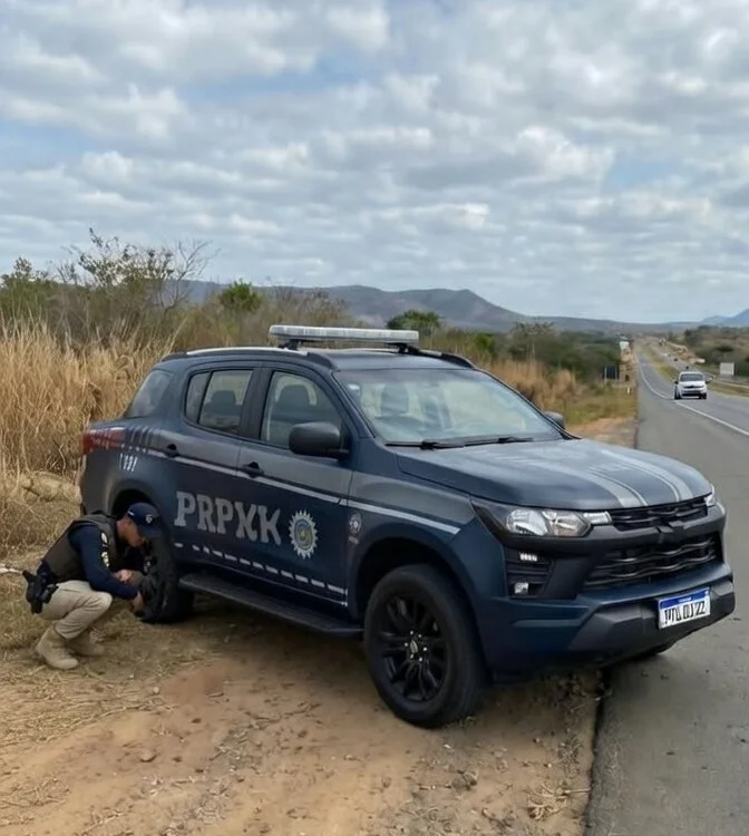 wag_self offline XXX-chat