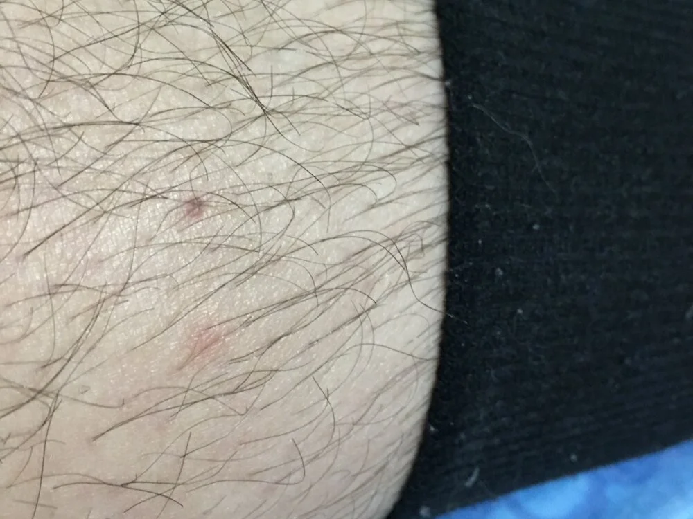 دردشة JJeggs1 الجنسية دون اتصال