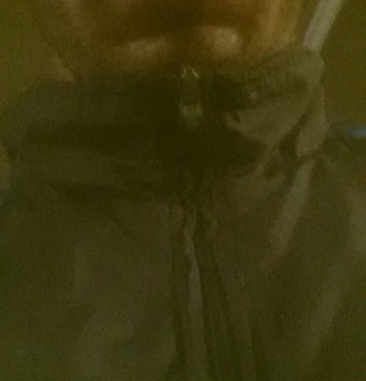 Офлайн-чат XXX Gigolo3023