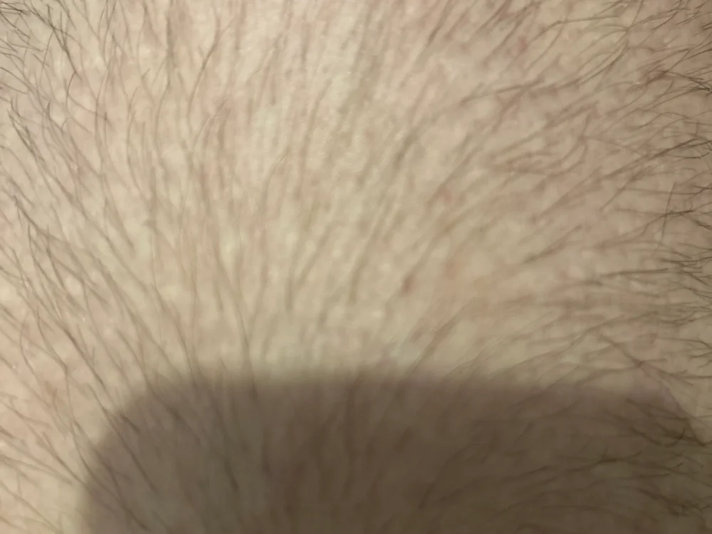 lion-rouge Offline XXX-chat