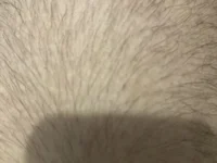 lion-rouge's webcam live show