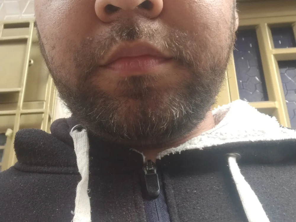 francisco-ml offline chatrum