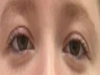 Модель RuddyArmoire