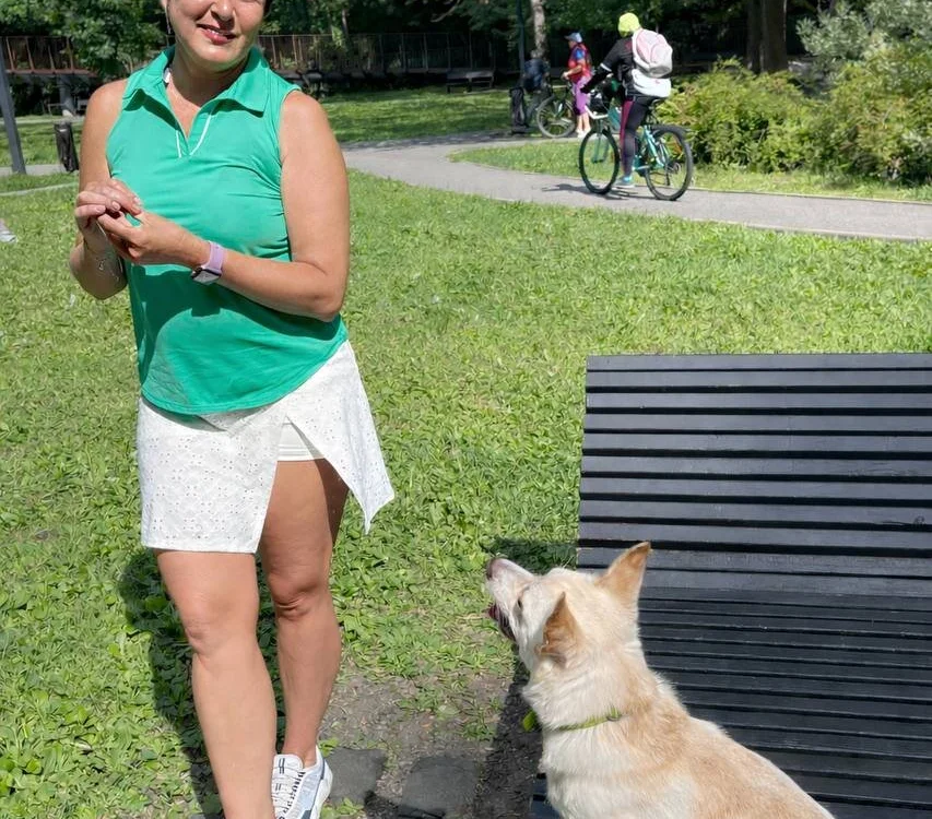 Офлайн-чат XXX Dalviora