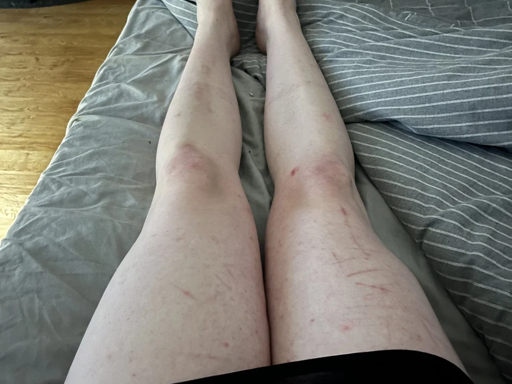 submissivesissybitch Offline XXX-chat