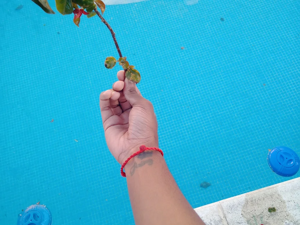 Chat XXX offline de thomasmichael36_