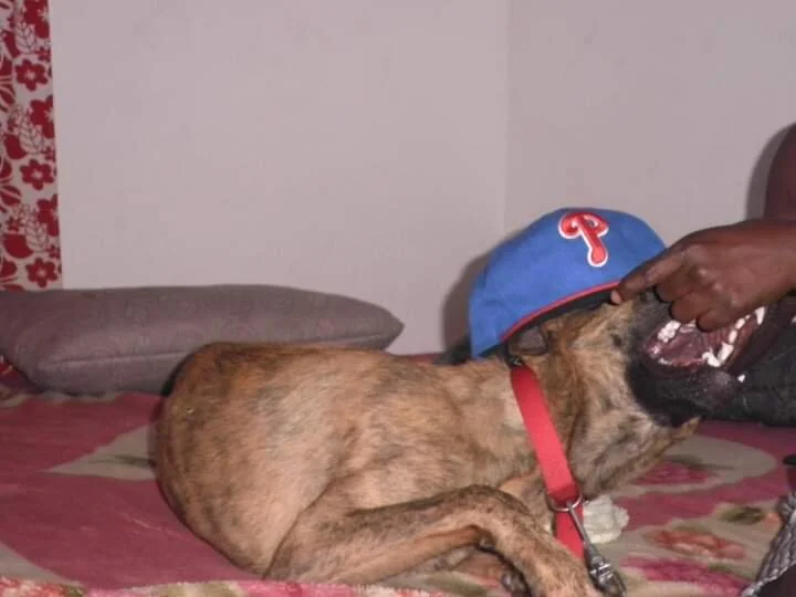 RichDaddy1z: συνομιλία ΧΧΧ εκτός σύνδεσης