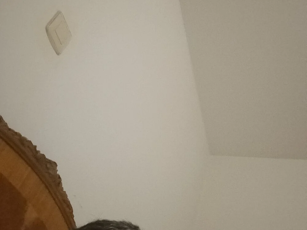 Pollon34- Obrolan XXX Offline