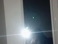 Модель Janat_Ms