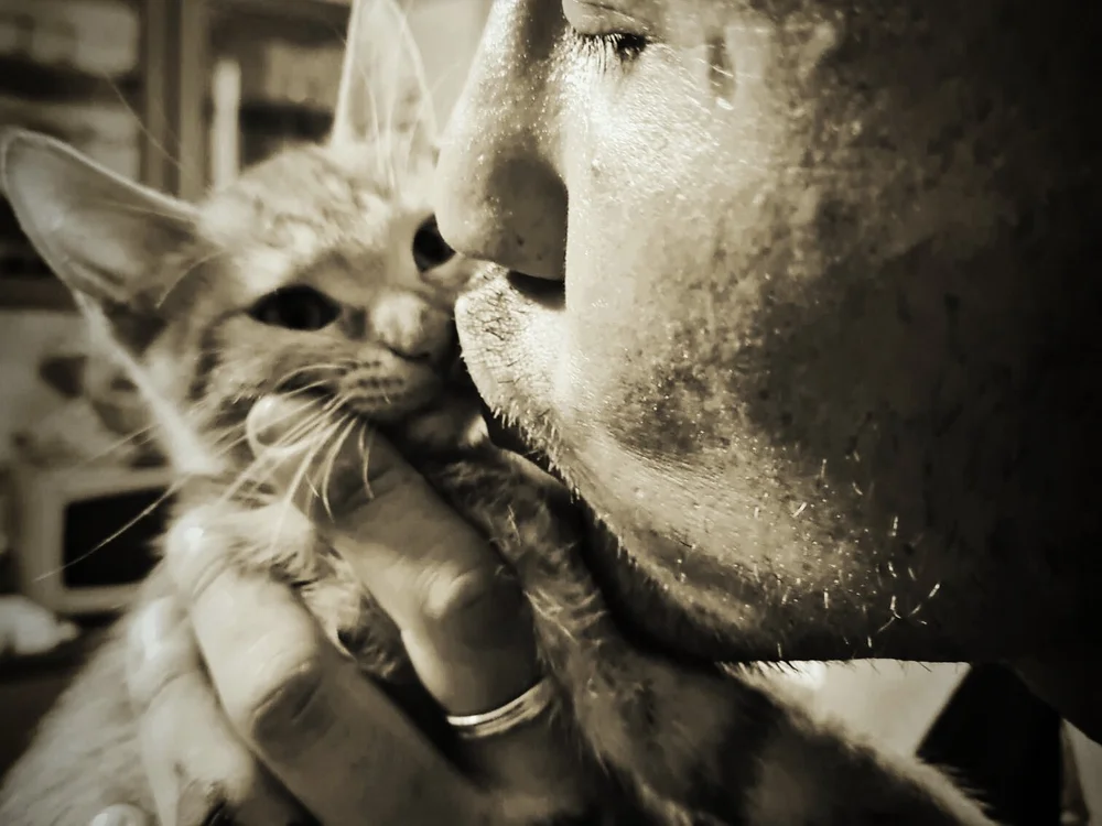 DizzyInitiator7のオフラインXXXチャット