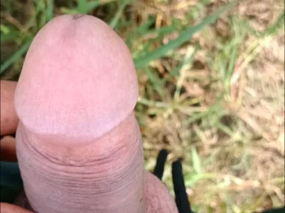 BHABI1 - Boy 