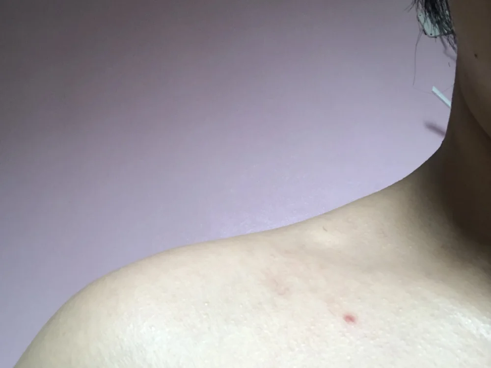 enmaili 離線 XXX 聊天