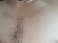 Модель AliSaid1