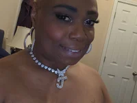 Модель shecockts