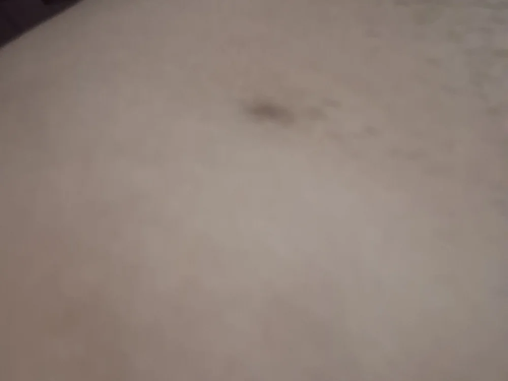 patrick_bob Offline XXX Chat
