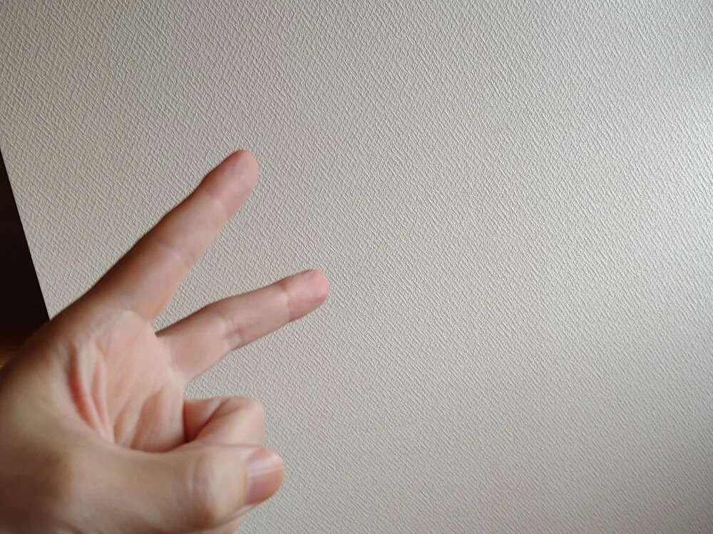 toho_cst 오프라인 XXX 채팅