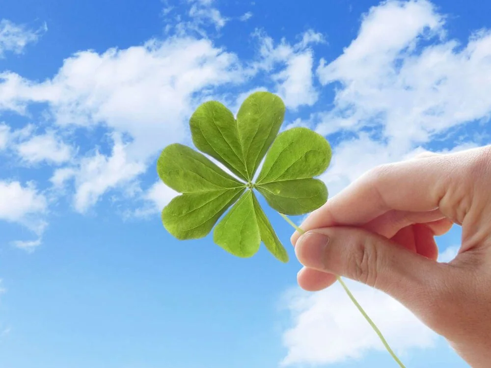 yeabzo: офлайн-секс-чат