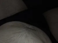 freddies12389's webcam live show