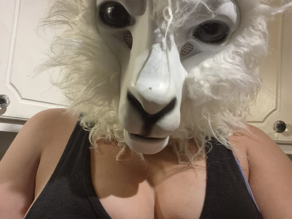 DollyLama's Offline XXX Chat