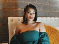 Модель NewBeginnings8