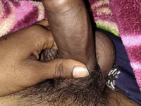 Модель tarabhai11