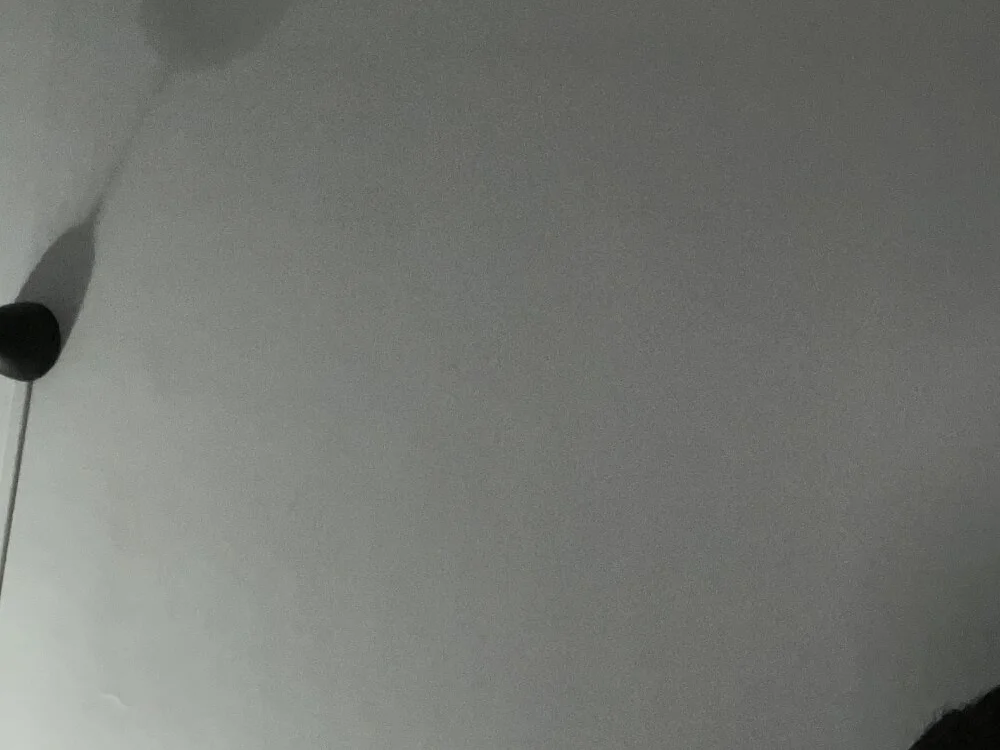 zonki123 offline XXX-chatje