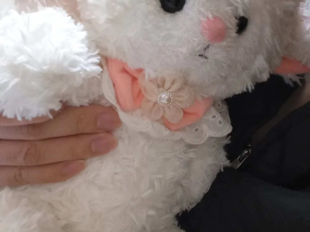 LDJ199 Offline XXX-chat