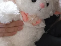 LDJ199's webcam live show