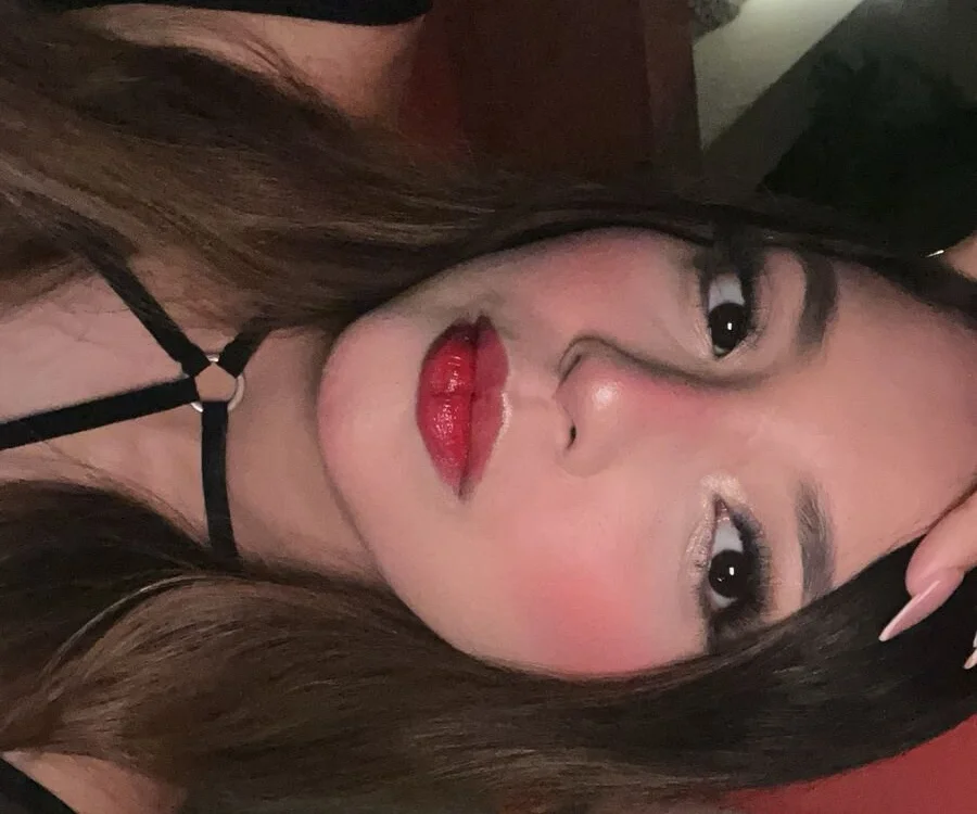 Aico_dolly cam model