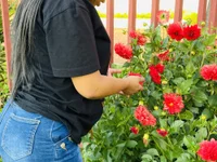 Sexybabezar live cam profile - MySuperHot