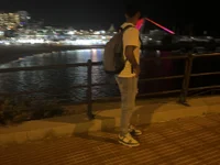 Модель Rico1_1