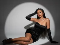 Модель BrownKata03