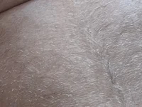 zsugabubus88 webcam model