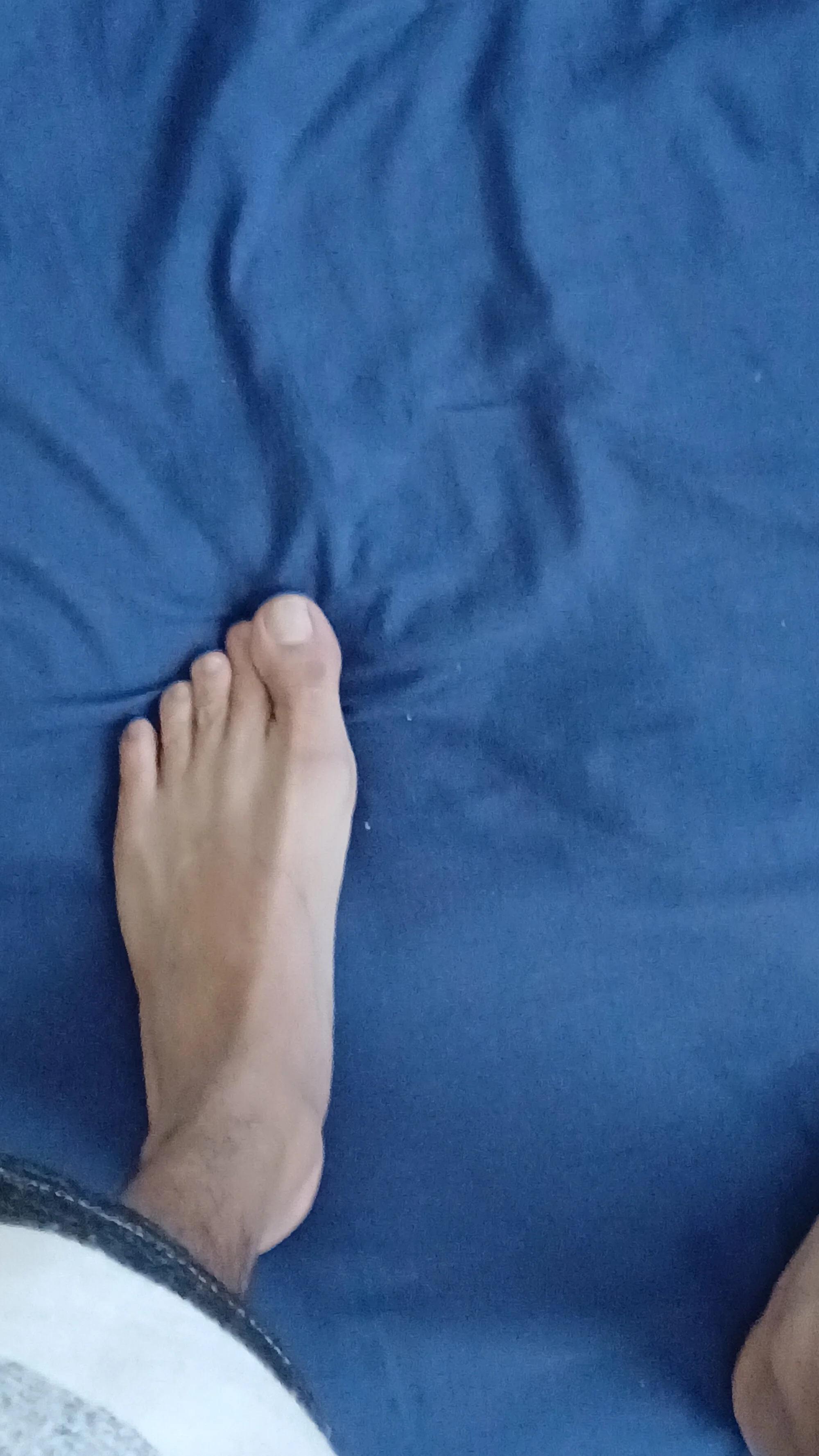 sapakoll