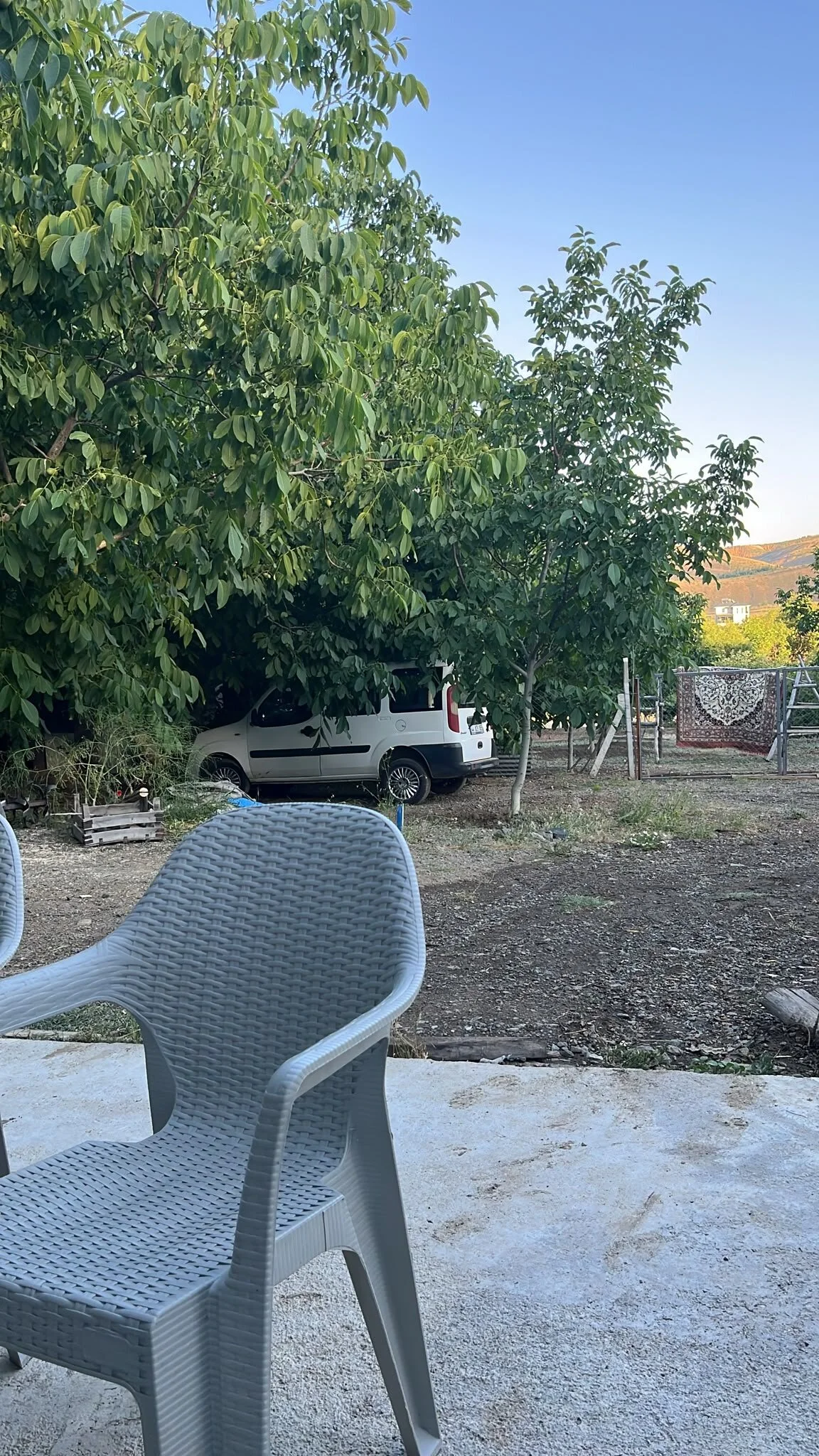 Garip20cm