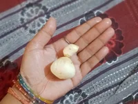 Shallubhabhi_1 webcam