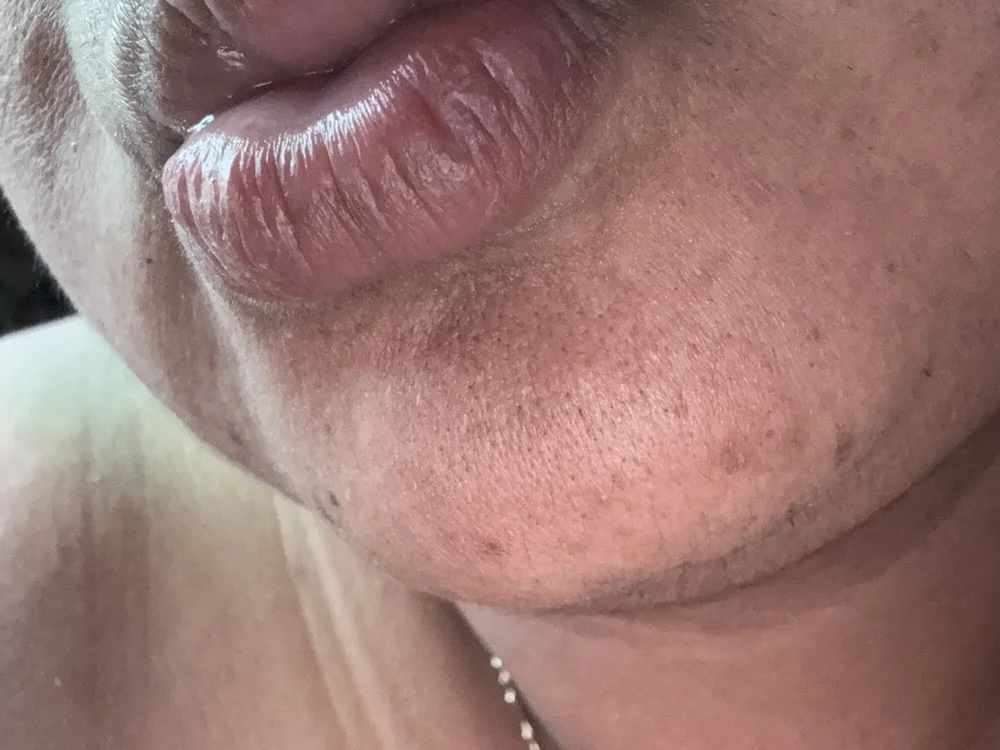 dayberlin Chat XXX offline