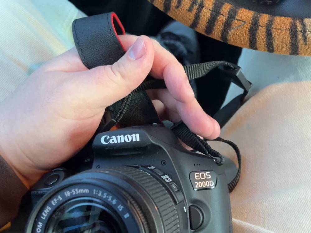 PaintedWalker's most recent online preview